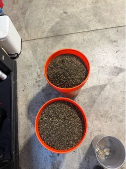 Aquarium gravel