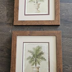 Now Only $10 for the set of 2.  Beautiful Traditional Style Tropical Custom Framed Artworks.