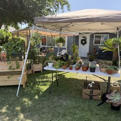 Plant Sale/Yard Sale - SHAW AND MARKS