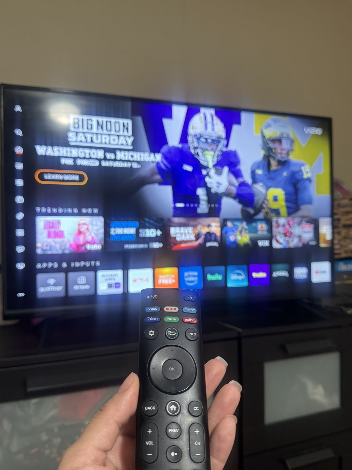 Vizio 40 Inch TV