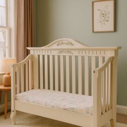 Baby-Toddler Crib/Day bed