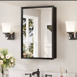 Black Framed Medicine Cabinet with Mirror