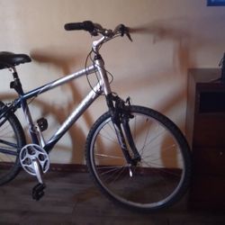 Trek Navigator 100