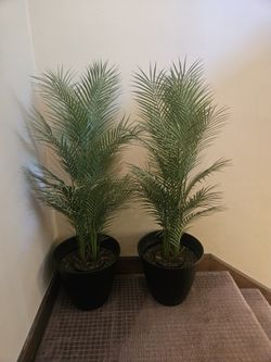2x Faux / Fake Palm Plant