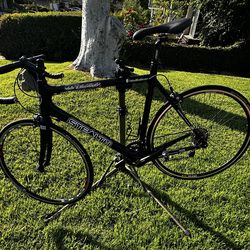 Raleigh Stealth Ride 2 Recovery (R2R) 58cm. Carbon Fiber