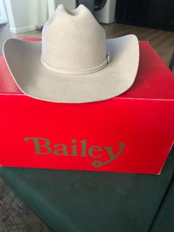 Bailey Lightning 4x Silverbelly