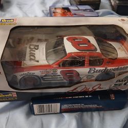 Dale Jr  Lot