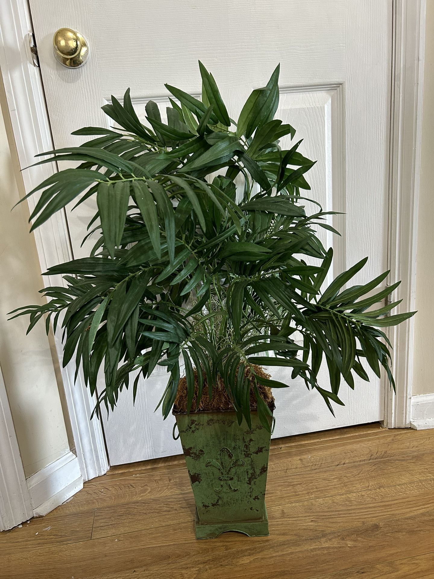 Decoration Plants 