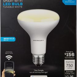 NEW Smart LED Light Bulb BR30