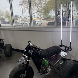 2026 MINI RCR Electric 3 wheeler