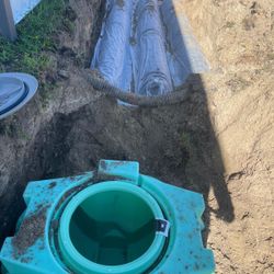 Septic 