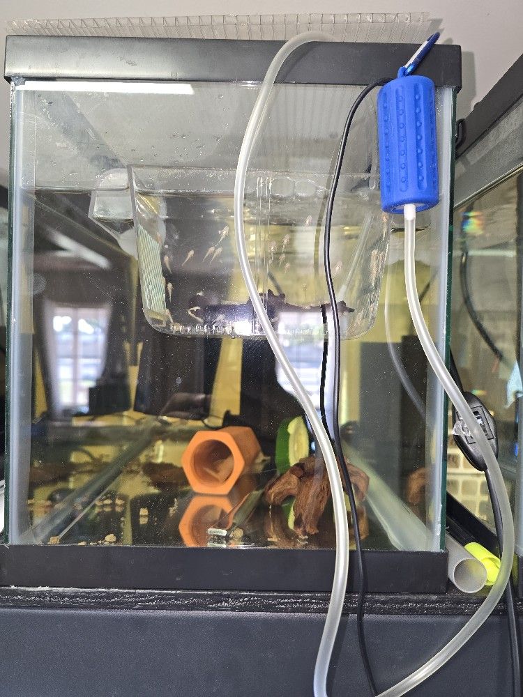 Fishtank