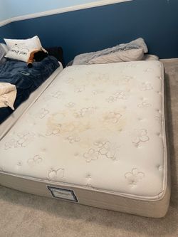 Free Queen size mattress