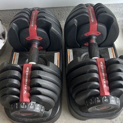 Bowflex Dumbbell Set 