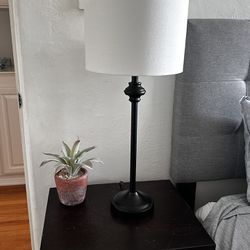 2 Nightstand Lamps