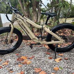 Quiet Kat Pioneer 5.0