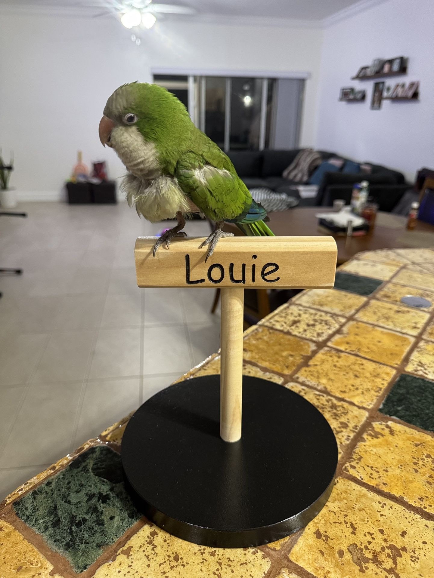 Personalized Bird Stand – Customized with Your Bird’s Name