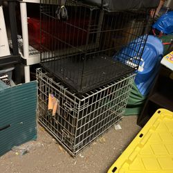 Dog Cages 