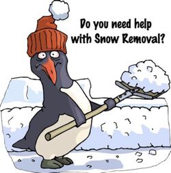 SNOW REMOVAL FOR 1/26/2026