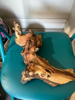 Reptile log
