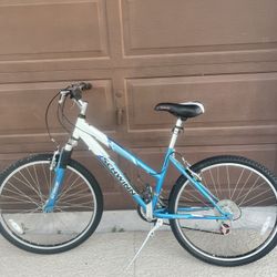 Schwinn bike 