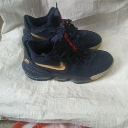 Size 12 Nike LeBron Titan-x Low Agimat