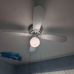 36-In Ceiling Fan With Light