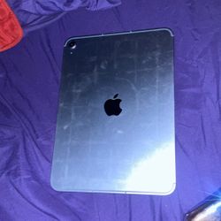 Apple Ipad 11