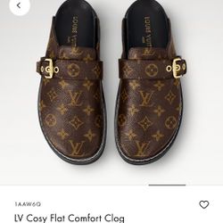 LV slides Brand new in box 