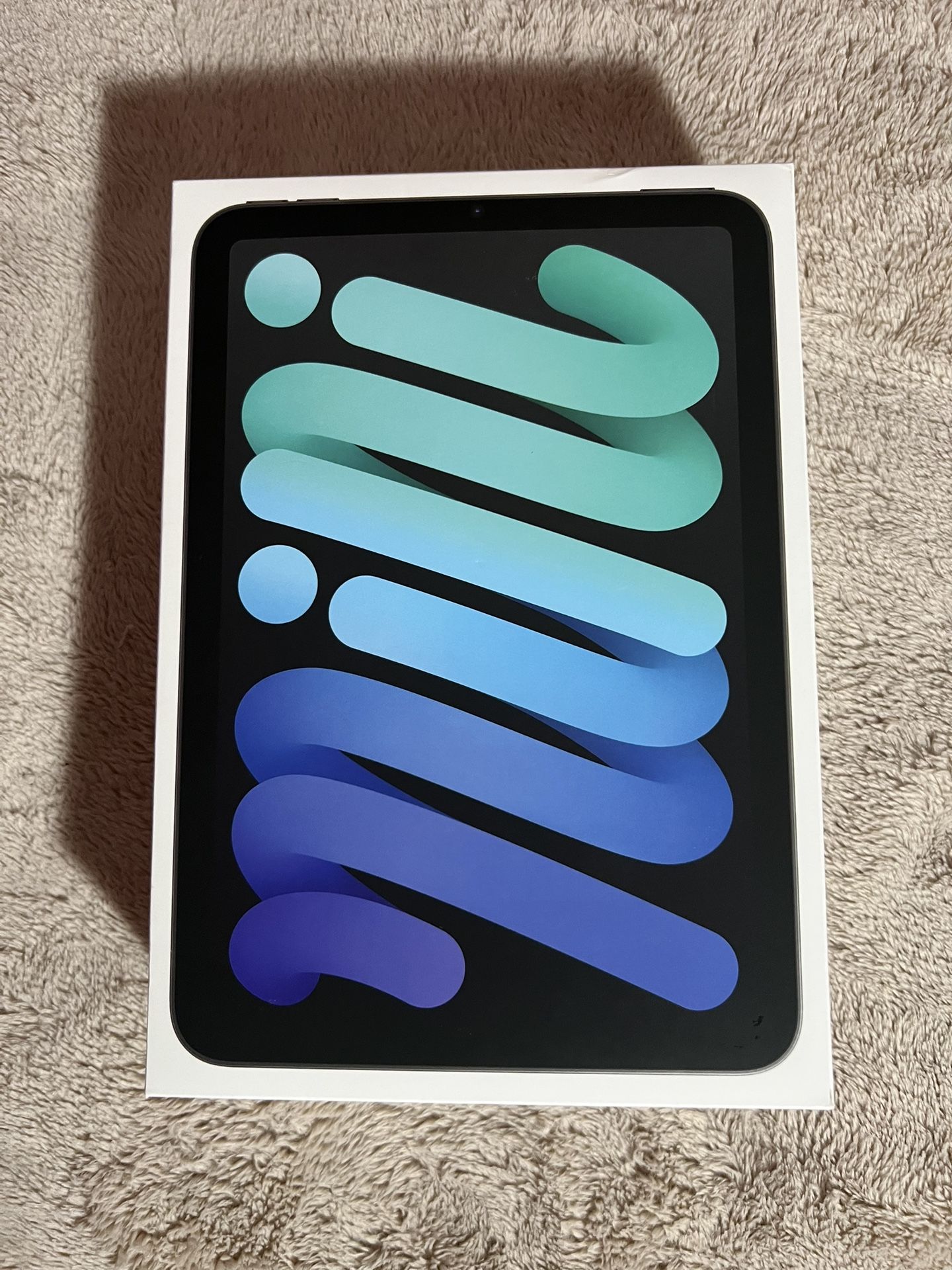 iPad Mini 6