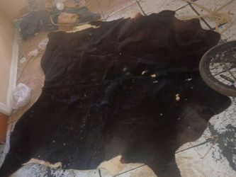 animal hide