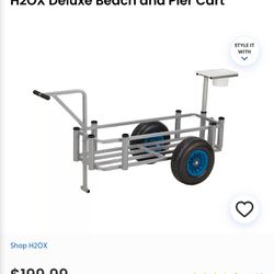 Deluxe Beach and Pier Cart