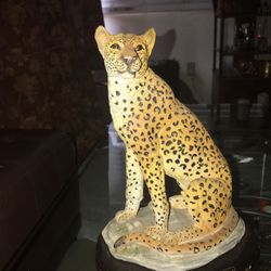 poly , cheetah
