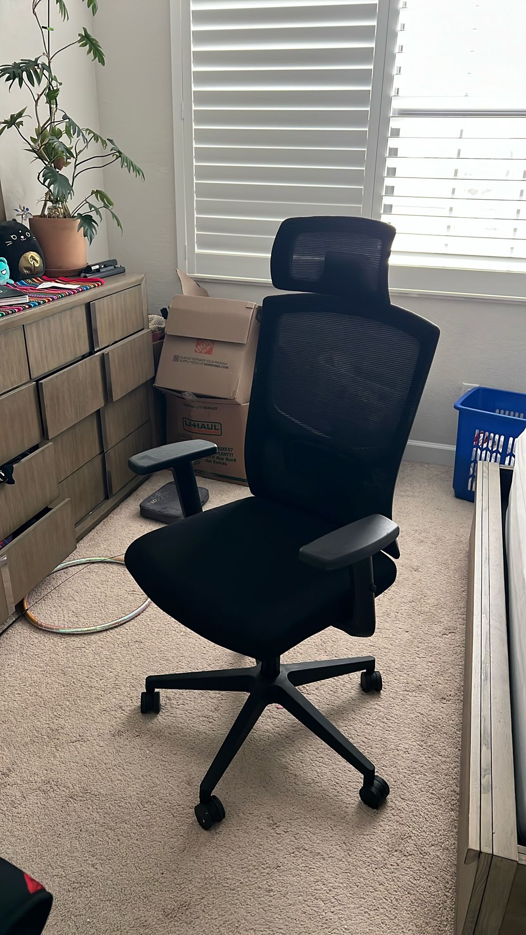 $50 Office Chair