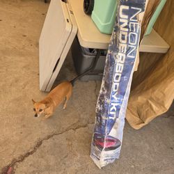 New   neon  Underbory Kit