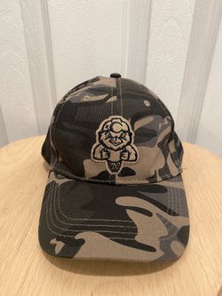 Charleston WV Minors Baseball Cap Dirty Birds, Camo , WSAZ News Channel