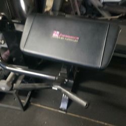 Commercial biceps machine