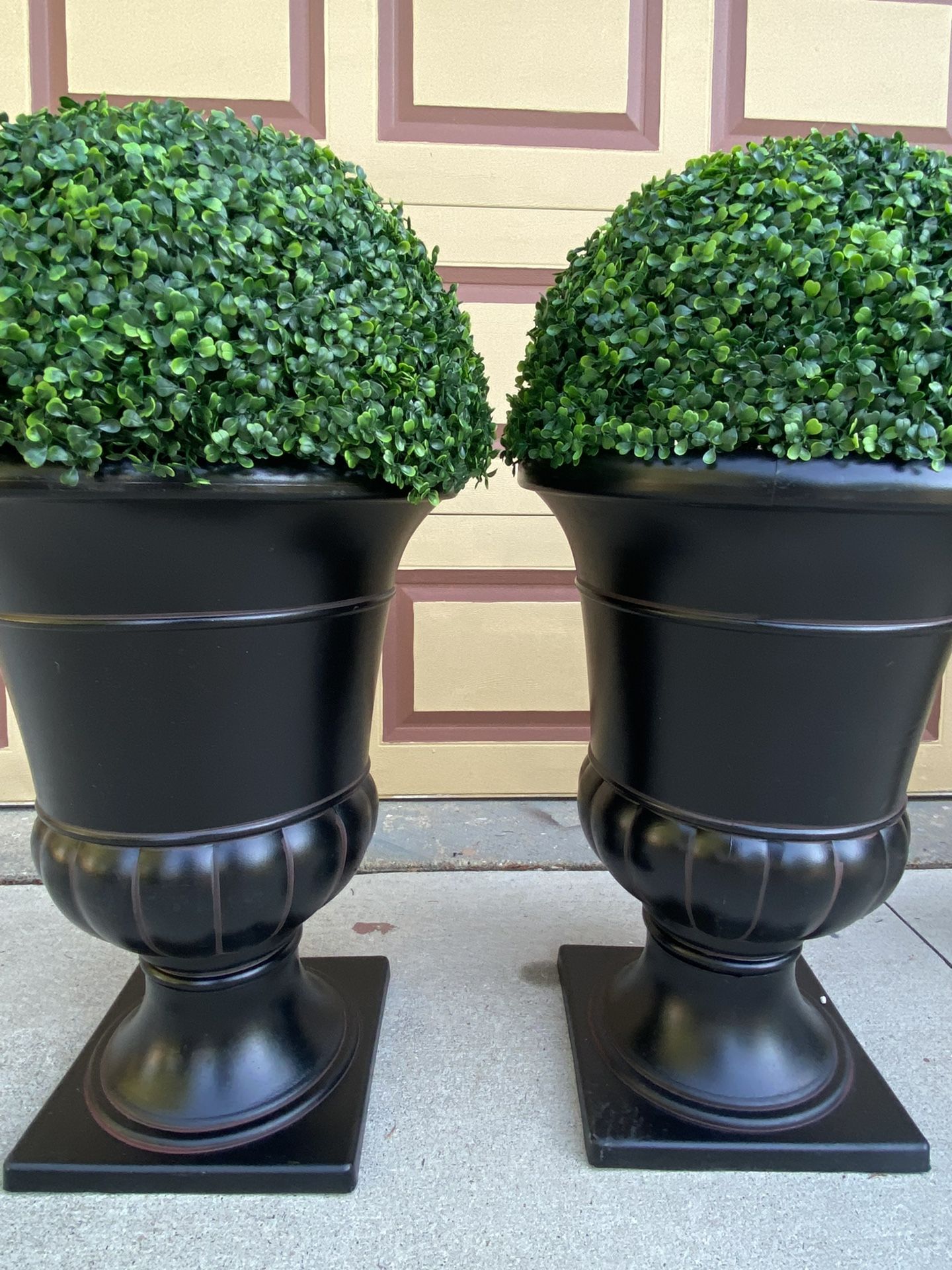 Very Beautiful gorgeous two pots And Plants