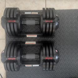 Alter Adjustable Dumbbells 