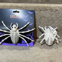 New Halloween Decor Spider & Bug insect Skeleton set of 2