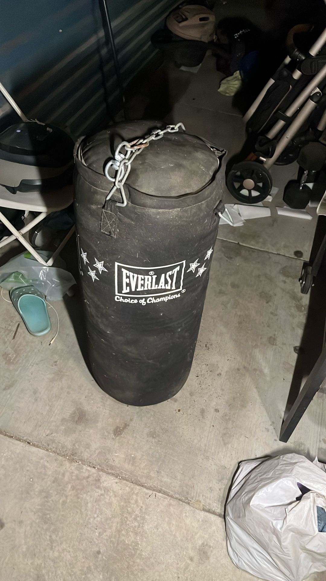Everlast Punching Bag