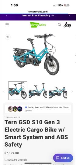 Electric cargo bike