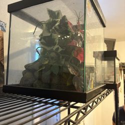 Enclosure