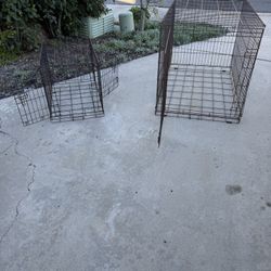 Folding Dog Crates