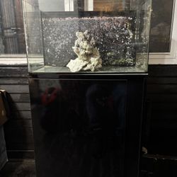 Fish Tank With Stand/ Saltwater/ Freshwater