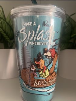 Splash Mountain Disney Plastic Tumbler Attraction WDW 