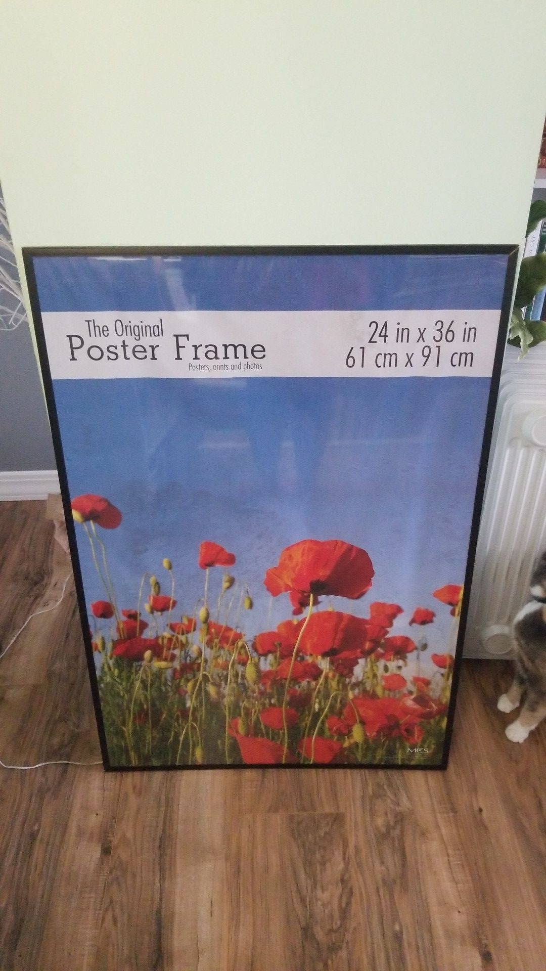 The Original Poster Frame