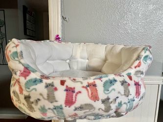 Colorful Spacious Cat-Themed Pet Bed (New!)