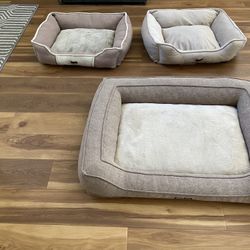 3 Dog beds 