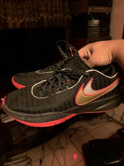 LeBron 20 Miami Heat